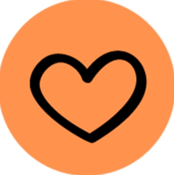 Организатор 2